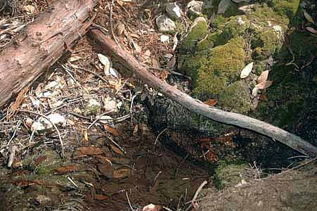 Mill Creek 060.jpg